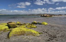 Remote Irish island flooded with inquiries from US about moving there 