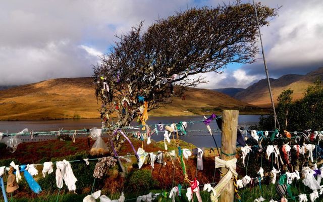 Fairy Thorn Tree, Co. Galway