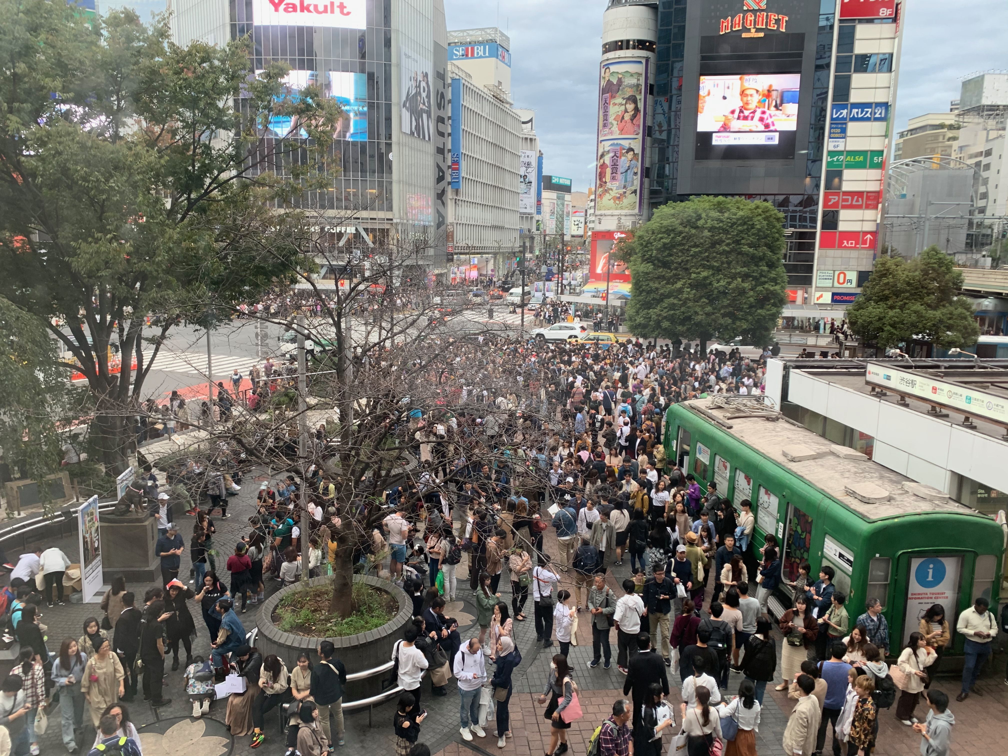 What LGBT Tokyo life taught me about Ireland and Japan