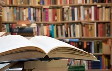 New Irish history book reviews: an adventurer, an Irish Hercules, and the Irish border