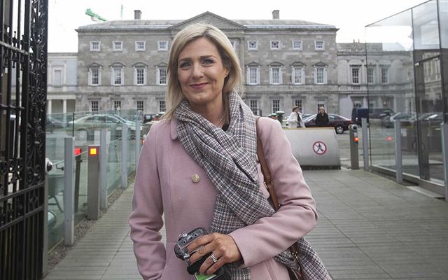  Maria Bailey, a backbench Fine Gael politician from Dun Laoghaire.