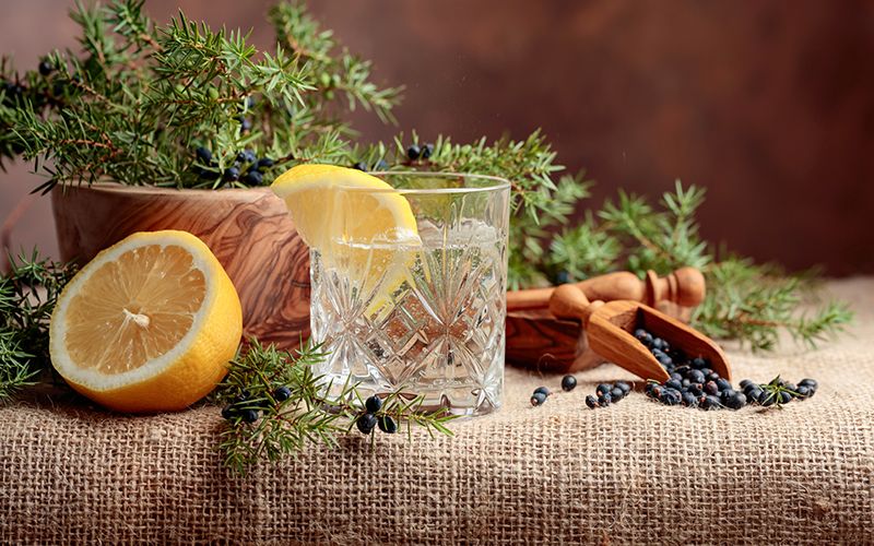 Happy World Gin Day! Great Irish gins to try this summer