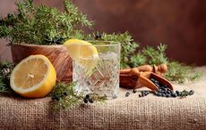 Happy World Gin Day! Great Irish gins to try this summer