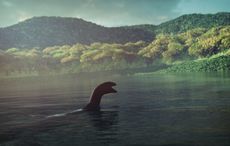 Wonder of Ireland's ancient beasts and monsters explored in new book