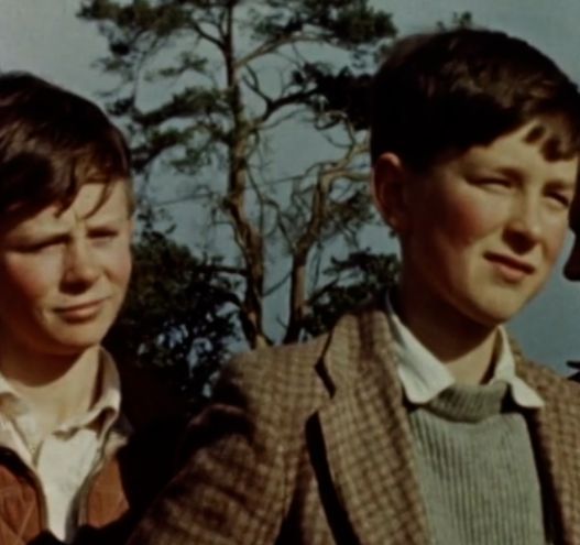 WATCH: 1960s short film follows adventures of group of boys in Ireland