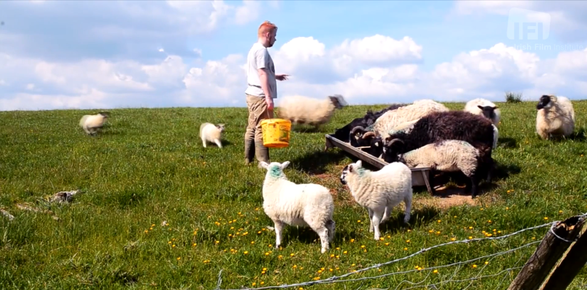 Dealing with adversity as a gay person in the west of Ireland explored in short doc 