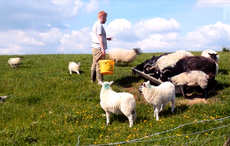 Dealing with adversity as a gay person in the west of Ireland explored in short doc 