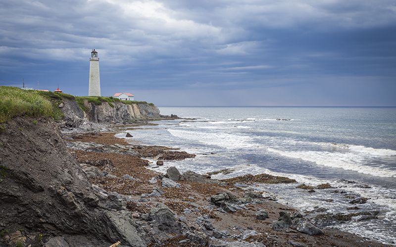 Funeral lays 21 Irish Famine victims to rest in Canada