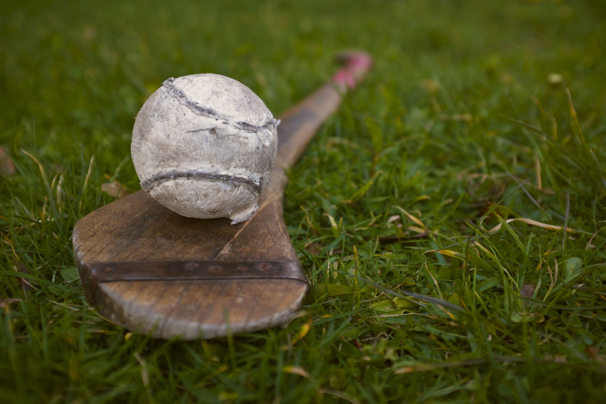 Little Laois the giant slayers are an example to us all
