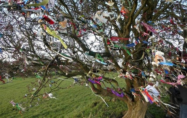 The Tara Skryne Preservation Group is urging visitors to not add their own tokens to the so-called Wishing Trees at the Hill of Tara.