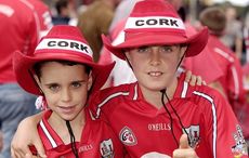 Only one man tried among Cork hurlers in Kilkenny defeat