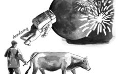 Ulster surnames making their mark from the Apollo to the White House