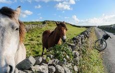 This is the perfect length of time for a vacation to Ireland, according to research