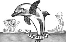 Advice to Kerry’s world-record-breaking Fungie the dolphin