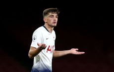 Soccer: Spurs Troy Parrot could hear Ireland's call