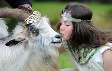 Co Kerry’s ancient Puck Fair launches GoFundMe for support