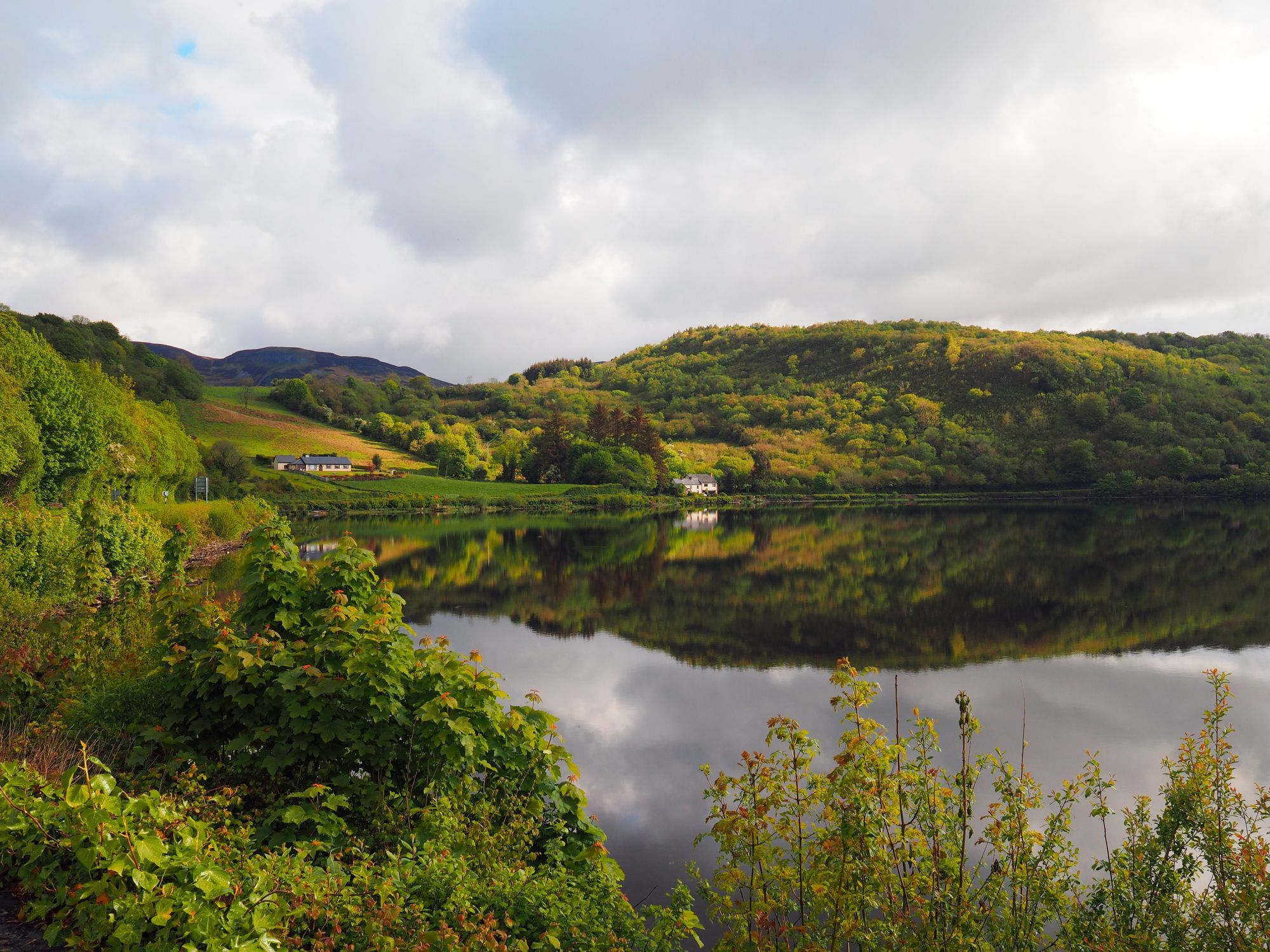 WATCH: Award-winning 1965 Irish film will reawaken your love for Yeats