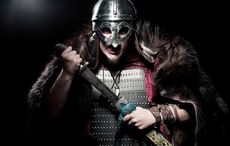 Irish population was in serious decline before the Vikings arrived
