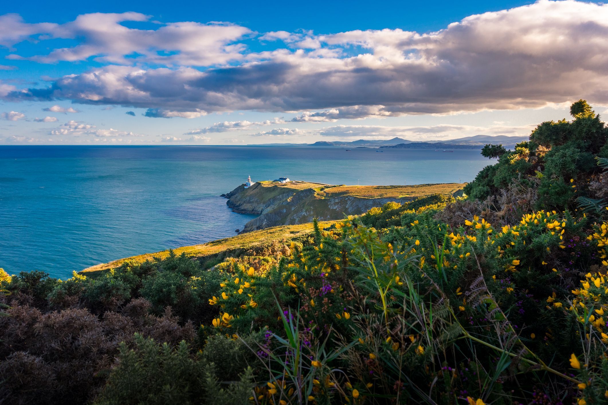 Dublin coastal running track named one of the world’s most thrilling