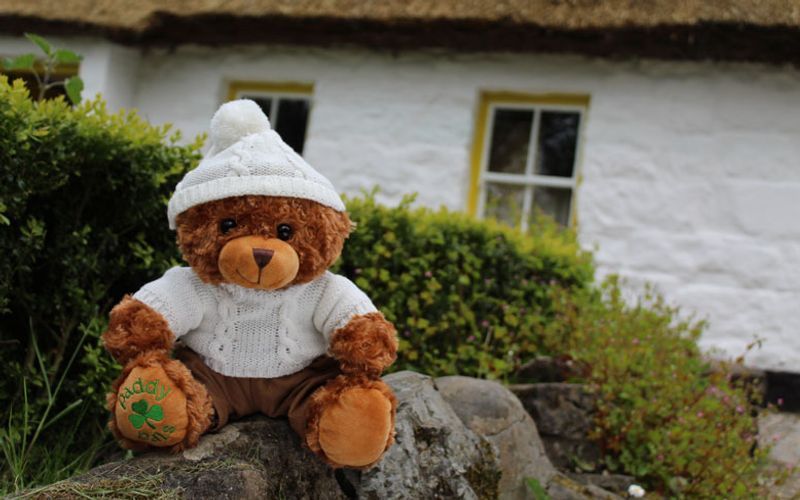 teddy pals