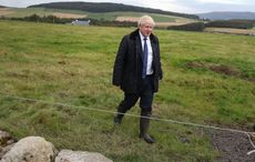 All the anti-Irish things Boris Johnson's family has said