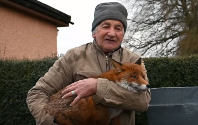 Patsy Gibbons and one of his foxes. 