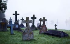 Woman shocked to find couple having sex in an Irish graveyard