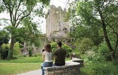 The beauty and danger of Blarney Castle's Poison Garden