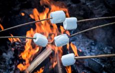 This two-ingredient campfire treat gets a boozy Irish twist