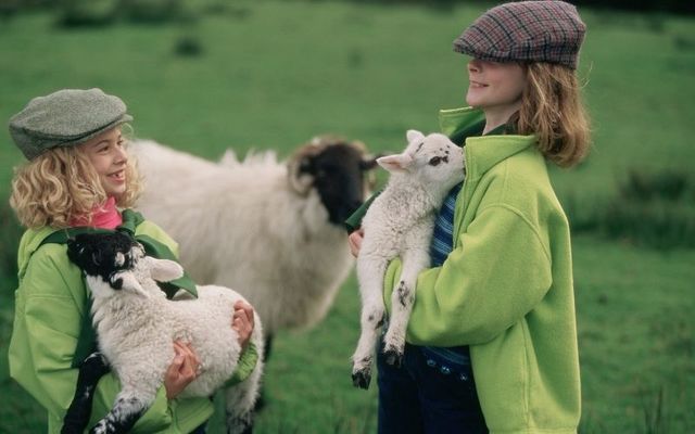 Poetry in the sayings of the Irish