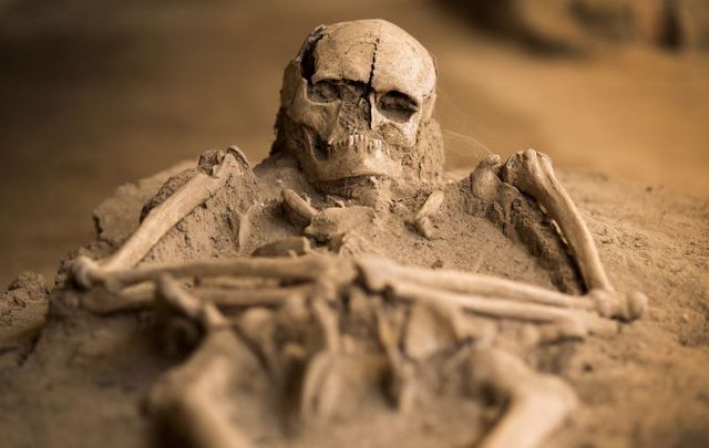 A 3,000-year-old skeleton was found at what is considered to be the birthplace of Halloween in Ireland.