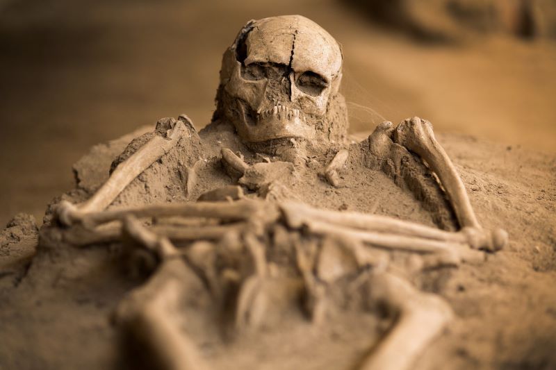 3,000-year-old baby skeleton discovered at the Irish birthplace of Halloween