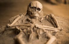 3,000-year-old baby skeleton discovered at the Irish birthplace of Halloween