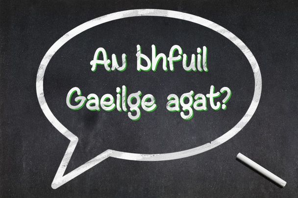 \"An bhfuil Gaeilge agat?\" ... \"Do you speak Irish?\"