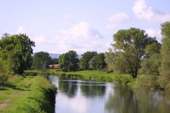 The River Barrow at Fenniscourt, County Carlow. 