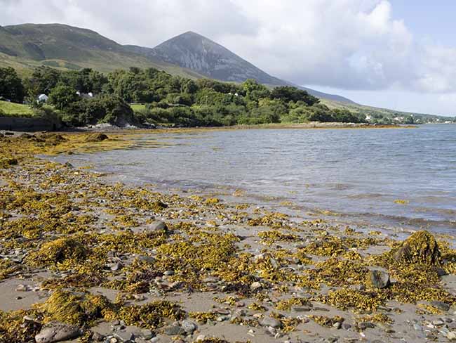 1,000-year-old religious route unearthed by archaeologists in Mayo 