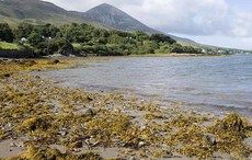 1,000-year-old religious route unearthed by archaeologists in Mayo 