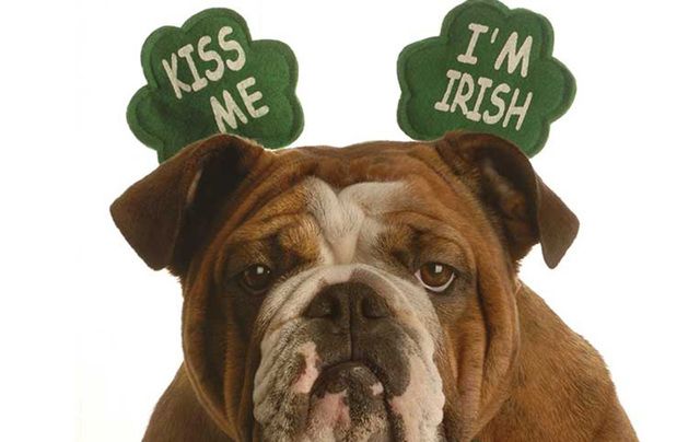 America’s biggest Irish day can be a nightmare. Here\'s some of the reasons it might be a good idea to stay home.