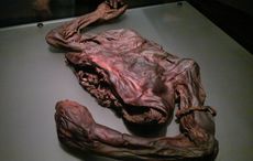 Did the ancient Celts practice human sacrifice?