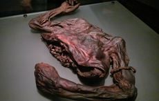 Irish bog bodies suggest the Celts killed their kings when the harvests failed