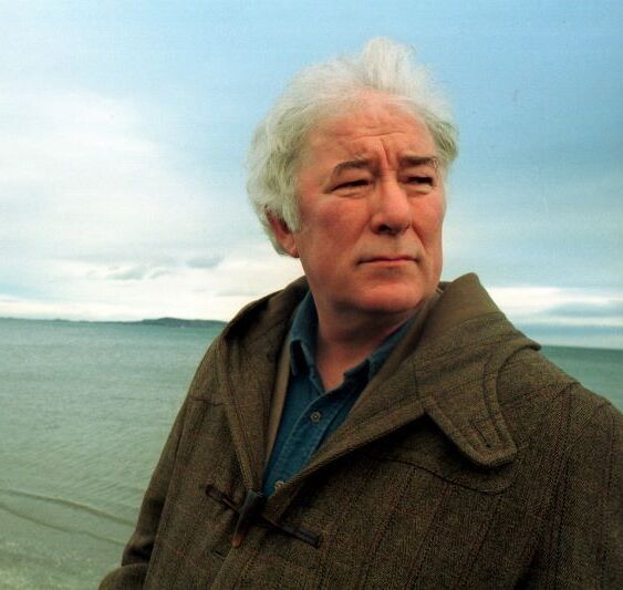 The Seamus Heaney poem Ireland cannot let go of