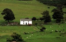 Memories of St. Patrick's Day as a child with my father in Donegal