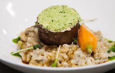 Tender Guinness braised beef with a creamy barley risotto