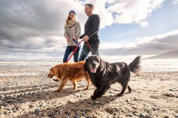 Dog Walking along Murlough Beach, Co Down.