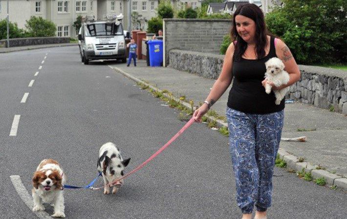 Meet Babe, the Galway pig that thinks it’s a dog