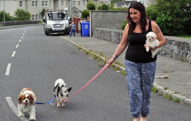 Babe the pig plays fetch, goes for walks on his lead and loves to have his tummy rubbed.