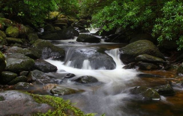 Torc Waterfall in Killarney, Co Kerry.