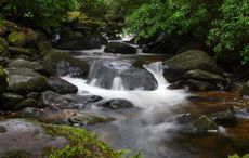 World Sleep Day: These Irish waterfalls are helping fight insomnia