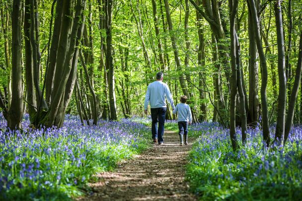 A father and son together in the woods.