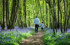 Remembering all the dads in our life this Father's Day